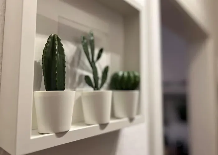 Stadtoase Design In Der Altstadt Von